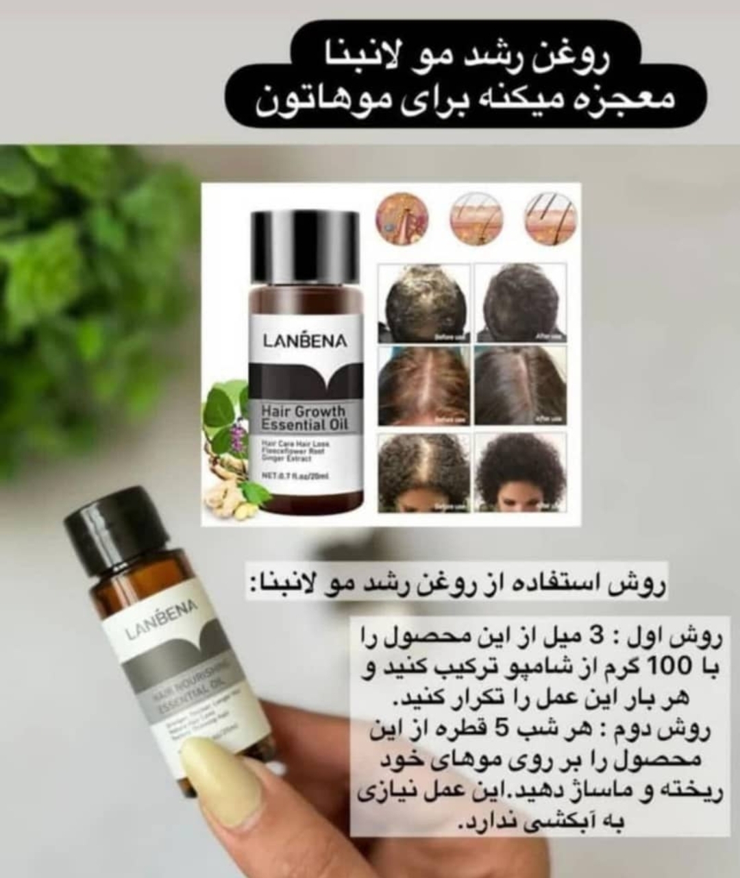 روغن رشد مجدد مو