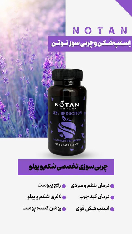 کپسول چربی سوزی و رفع بلغ استپ شکن دارای سیب سلامت گیاهی ایرانی برند نوتن نمای ۳